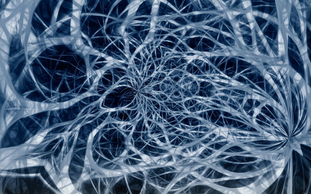 nerves network